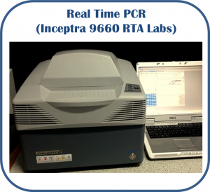 RealTimePCR